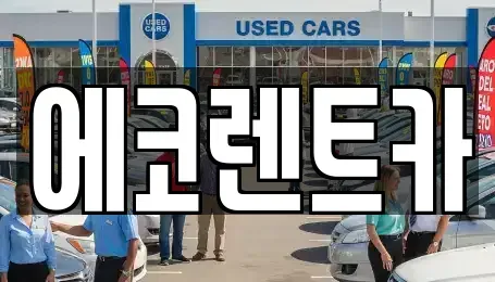 광주광역시 서구 덕흥동 렌트카 전문 에코렌트카