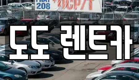 광주광역시 서구 풍암동 렌트카 전문 도도 렌트카