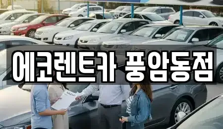 광주광역시 서구 풍암동 렌트카 전문 에코렌트카 풍암동점