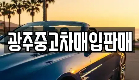 광주광역시 서구 풍암동 중고차매매,단기렌트카,중고차매입,장기렌트카,중고차,렌트카