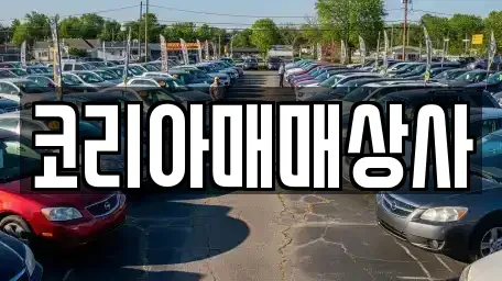 광주광역시 서구 풍암동 중고차매매 전문 코리아매매상사