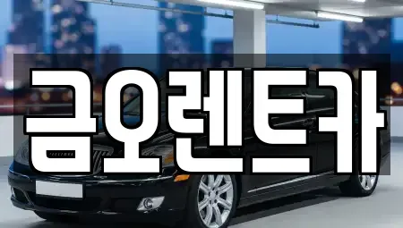 대구 남구 대명동 렌트카 전문 금오렌트카