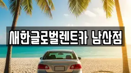대구 남구 대명동 장기렌트카 전문 새한글로벌렌트카 남산점