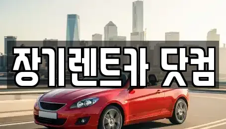 대구 남구 대명동 장기렌트카 전문 장기렌트카 닷컴