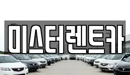 대구 달서구 단기렌트카 전문 미스터렌트카