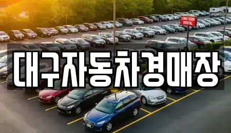 대구 달서구 중고차 전문 대구자동차경매장