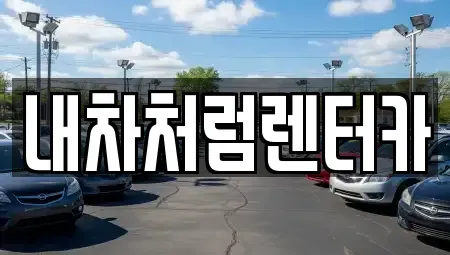 대구 동구 중대동 렌트카 전문 내차처럼렌터카