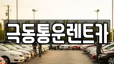 대구 동구 지저동 렌트카 전문 극동통운렌트카