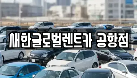 대구 동구 지저동 렌트카 전문 새한글로벌렌트카 공항점