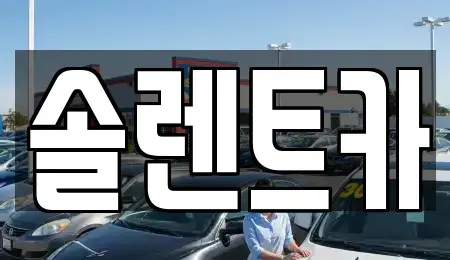 대구 동구 지저동 렌트카 전문 솔렌트카