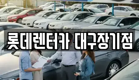 대구 동구 지저동 장기렌트카 전문 롯데렌터카 대구장기점
