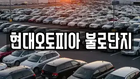 대구 동구 지저동 중고차매매 전문 현대오토피아 불로단지