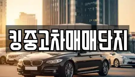대구 서구 중고차매매 전문 킹중고차매매단지