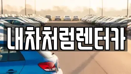 대구 수성구 범어동 렌트카 전문 내차처럼렌터카