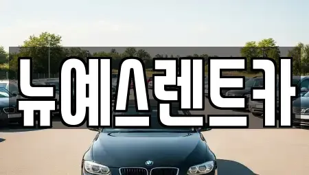 대구 수성구 범어동 렌트카 전문 뉴예스렌트카