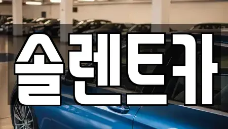 대구 수성구 범어동 장기렌트카 전문 솔렌트카