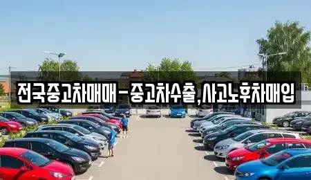 대구 수성구 범어동 중고차 전문 전국중고차매매-중고차수출,사고노후차매입