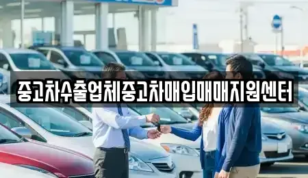 대구 수성구 범어동 중고차 전문 중고차수출업체중고차매입매매지원센터