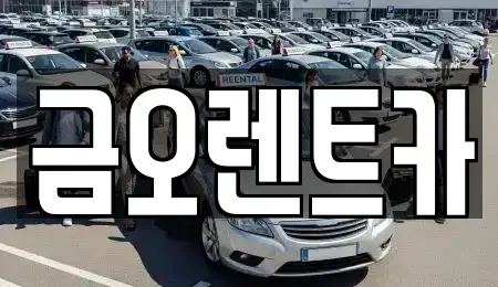 대구 중구 문화동 렌트카 전문 금오렌트카