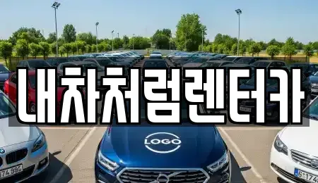 대구 중구 문화동 렌트카 전문 내차처럼렌터카