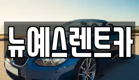대구 중구 문화동 렌트카 전문 뉴예스렌트카