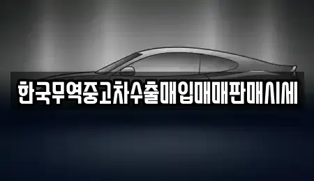 대구 중구 문화동 중고차 전문 한국무역중고차수출매입매매판매시세