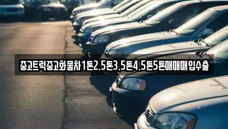 대구 중구 서성로2가 중고차매매 전문 중고트럭중고화물차1톤2.5톤3.5톤4.5톤5톤매매매입수출