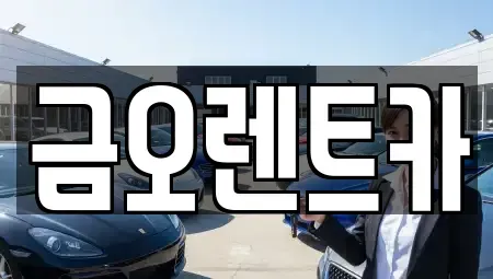 대구 중구 태평로3가 렌트카 전문 금오렌트카