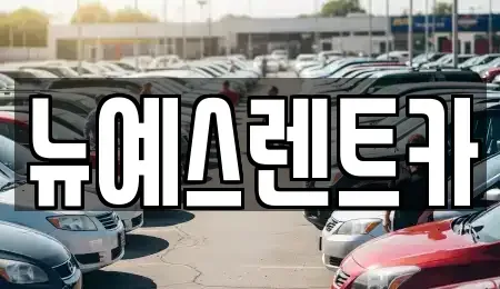 대구 중구 태평로3가 렌트카 전문 뉴예스렌트카