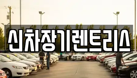 대구 중구 태평로3가 렌트카 전문 신차장기렌트리스