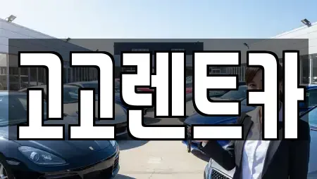 대구광역시 달서구 호림동 렌트카 전문 고고렌트카