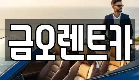 대구광역시 달서구 호림동 렌트카 전문 금오렌트카