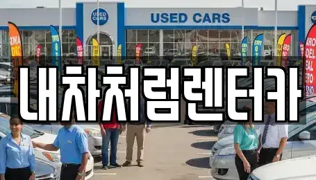 대구광역시 달서구 호림동 렌트카 전문 내차처럼렌터카