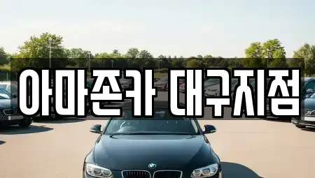 대구광역시 달서구 호림동 장기렌트카 전문 아마존카 대구지점