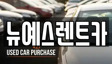 대구광역시 달성군 다사읍 렌트카 전문 뉴예스렌트카