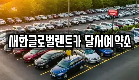대구광역시 달성군 단기렌트카 전문 새한글로벌렌트카 달서예약소