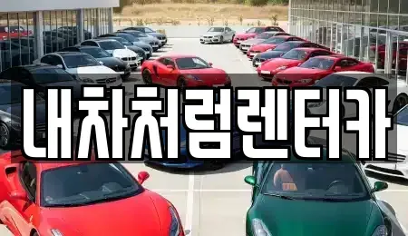 대구광역시 달성군 렌트카 전문 내차처럼렌터카