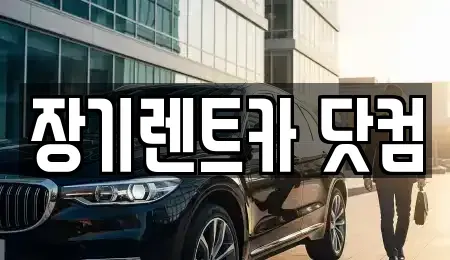 대구광역시 달성군 장기렌트카 전문 장기렌트카 닷컴