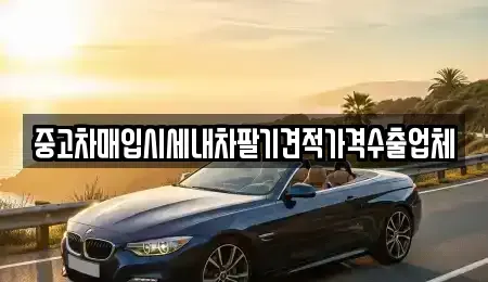 대구광역시 동구 덕곡동 중고차 전문 중고차매입시세내차팔기견적가격수출업체
