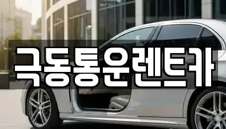 대구광역시 동구 도동 렌트카 전문 극동통운렌트카