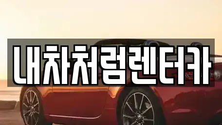 대구광역시 동구 동호동 렌트카 전문 내차처럼렌터카