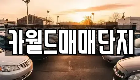 대구광역시 동구 동호동 중고차,렌트카,중고차매입,중고차매매,장기렌트카,단기렌트카