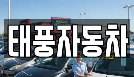 대구광역시 동구 동호동 중고차 전문 태풍자동차