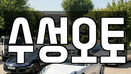 대구광역시 동구 동호동 중고차매입 전문 수성오토