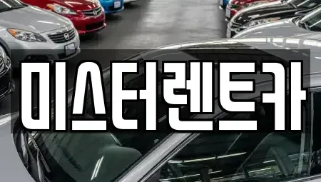 대구광역시 렌트카 전문 미스터렌트카