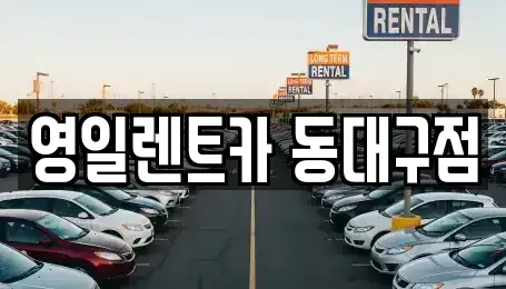 대구광역시 렌트카 전문 영일렌트카 동대구점