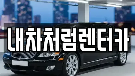 대구광역시 북구 고성동2가 렌트카 전문 내차처럼렌터카