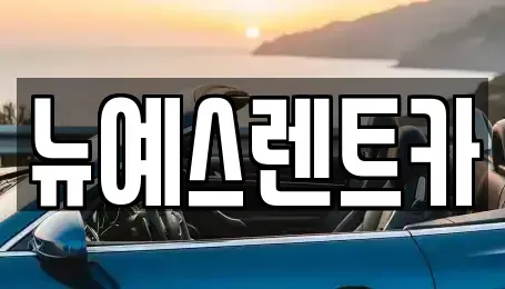 대구광역시 북구 고성동2가 렌트카 전문 뉴예스렌트카