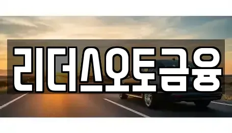 대구광역시 북구 고성동2가 장기렌트카 전문 리더스오토금융
