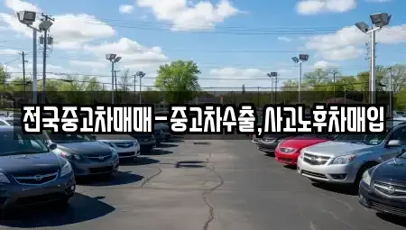 대구광역시 북구 고성동2가 중고차 전문 전국중고차매매-중고차수출,사고노후차매입